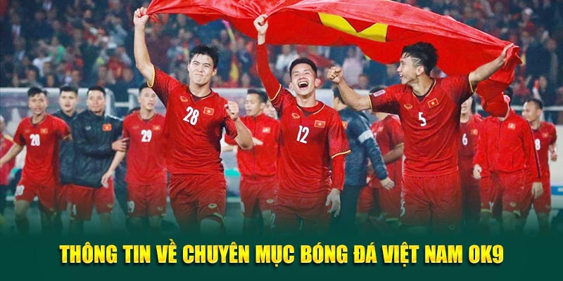 Thông tin về chuyên mục bóng đá Việt Nam OK9