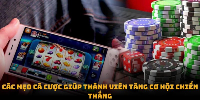 Các mẹo cá cược giúp thành viên tăng cơ hội chiến thắng