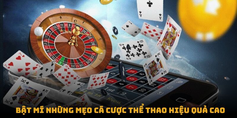 Bật mí những mẹo cá cược thể thao hiệu quả cao được OK9 chia sẻ