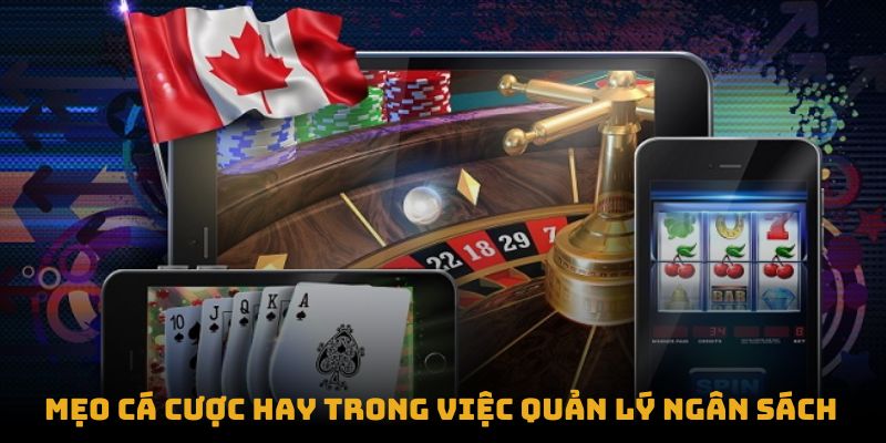 Mẹo cá cược hay trong việc quản lý ngân sách